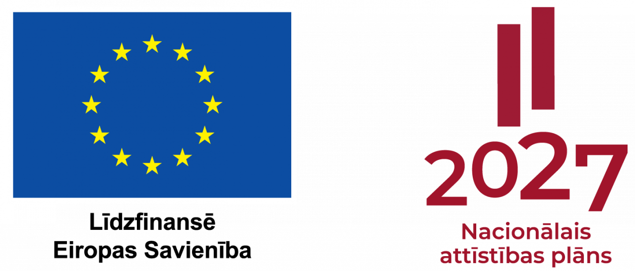 ES NAP logo