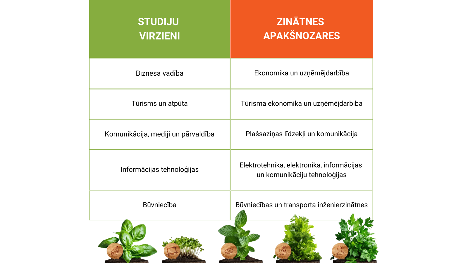 tabula zināte